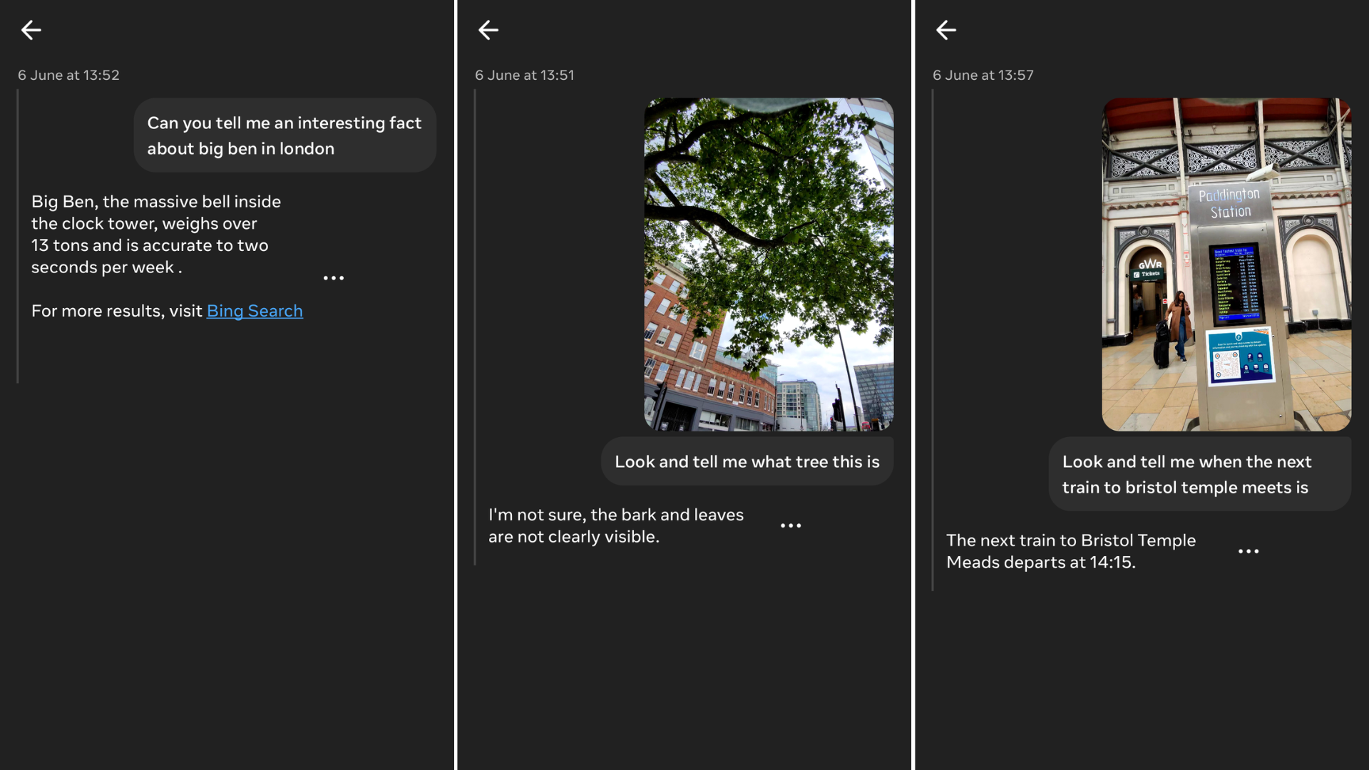 The Meta AI's respoonses to various questions about trees, Big Ben and trains