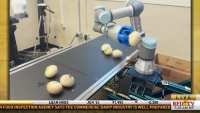 Robots are helping revolutionize Georgia’s onion industry!